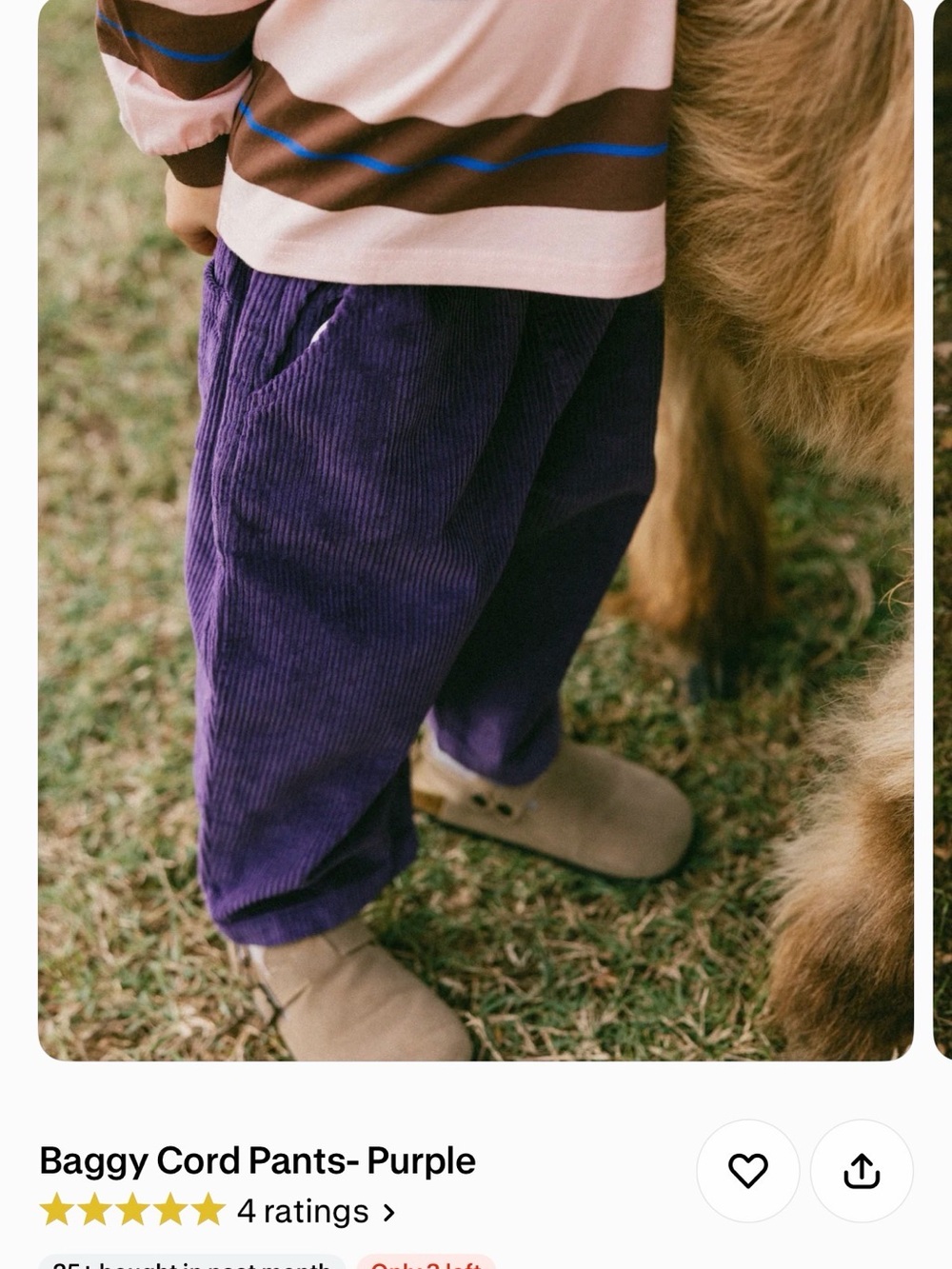 Fostered Collection Baggy Corduroy Pants in Purple